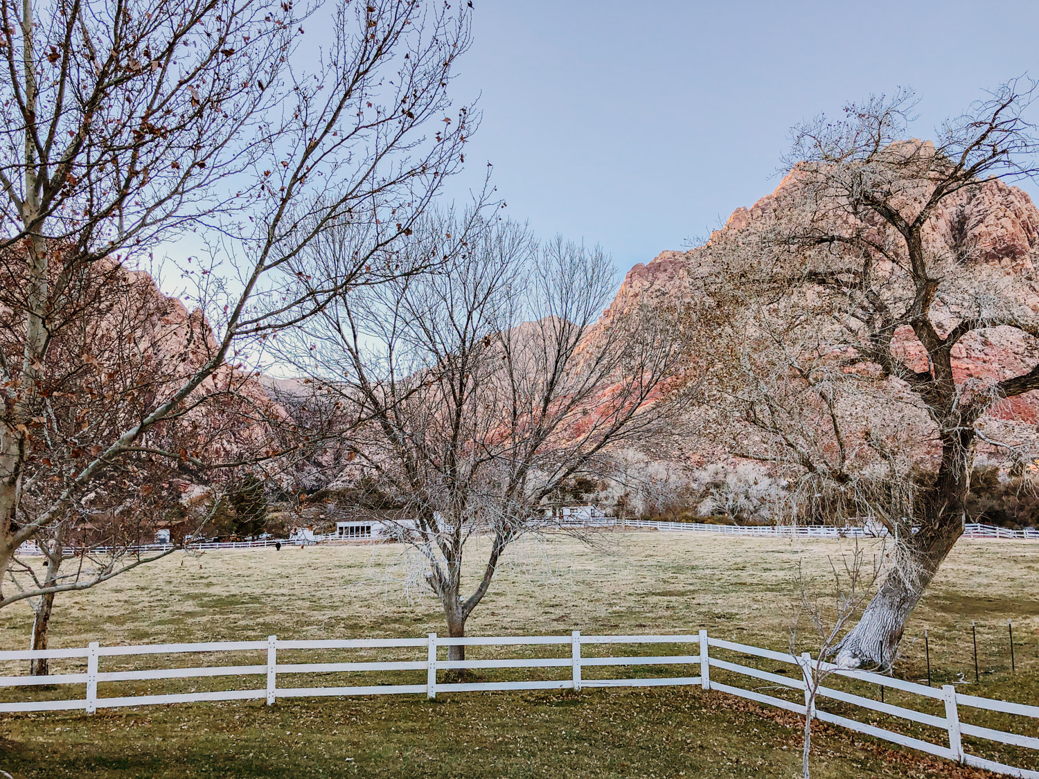 Read more about the article State Parks in Nevada
